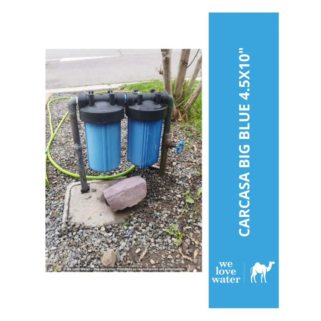 Beige Minimalist Circle Photo Lines Blog Instagram Post (61).webp