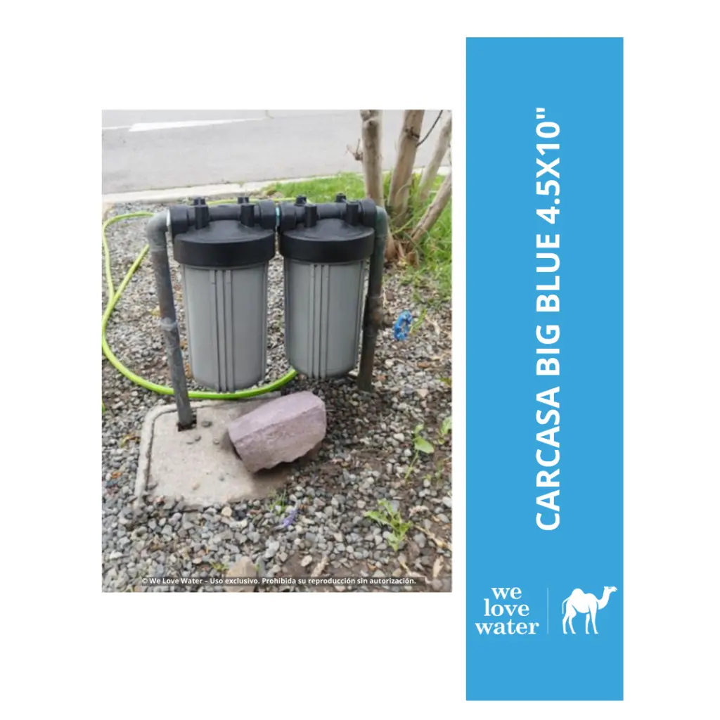 Beige Minimalist Circle Photo Lines Blog Instagram Post (62).webp