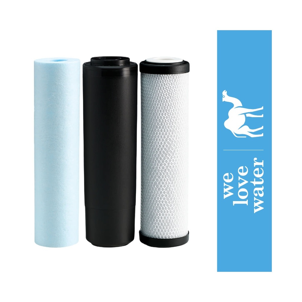 PACK FILTRO ROBUST 1000 (ECOSOFT / CHV3ECO CHV3ECO)